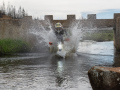 2-4-2552788-Splashdown