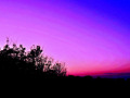 3-1-2521169-A-painted-sky