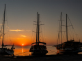 3-4-2518312-Catching-the-morning-sun-