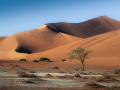 99-7-2519328-Namib-dunes