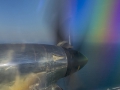 1-4 star-1020500-Flying into the rainbow