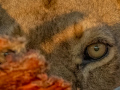 2-5-2745891-I-can-see-you